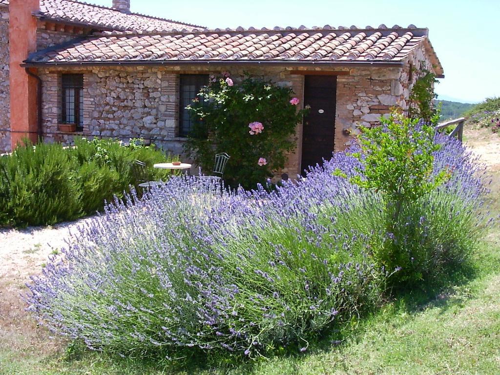Podere Costa Romana Narni Exterior photo